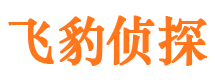 湖北市侦探公司